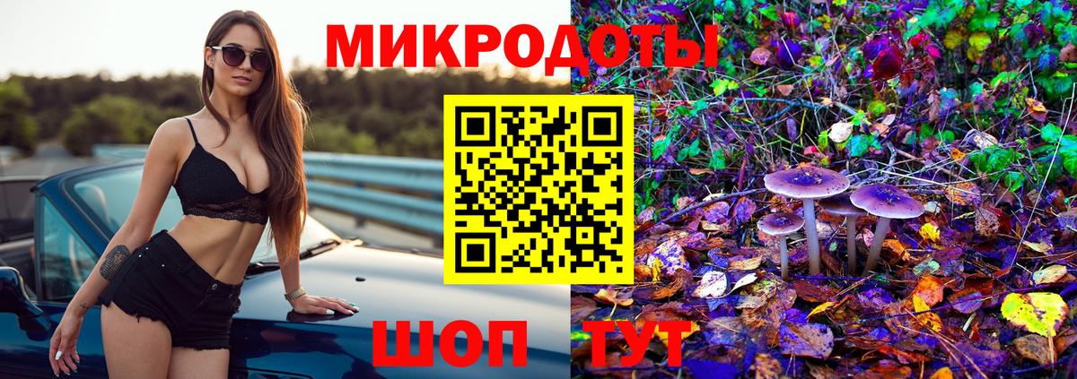 Псилоцибиновые грибы Psilocybe Йошкар-Ола