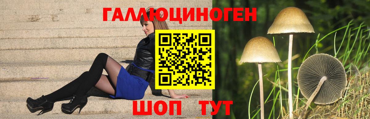 Галлюциногенные грибы Psilocybine cubensis  Вход с VPN  Йошкар-Ола 