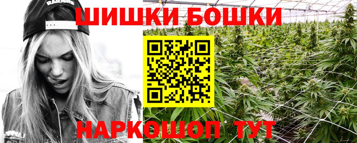 Шишки марихуана марихуана Йошкар-Ола